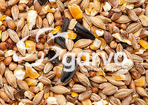 Garvo | gemengd graan met gebroken mais en zonnebloempitten 5145 | 20kg