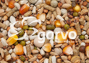 Garvo | G-spirits kweek 7002 | 20kg